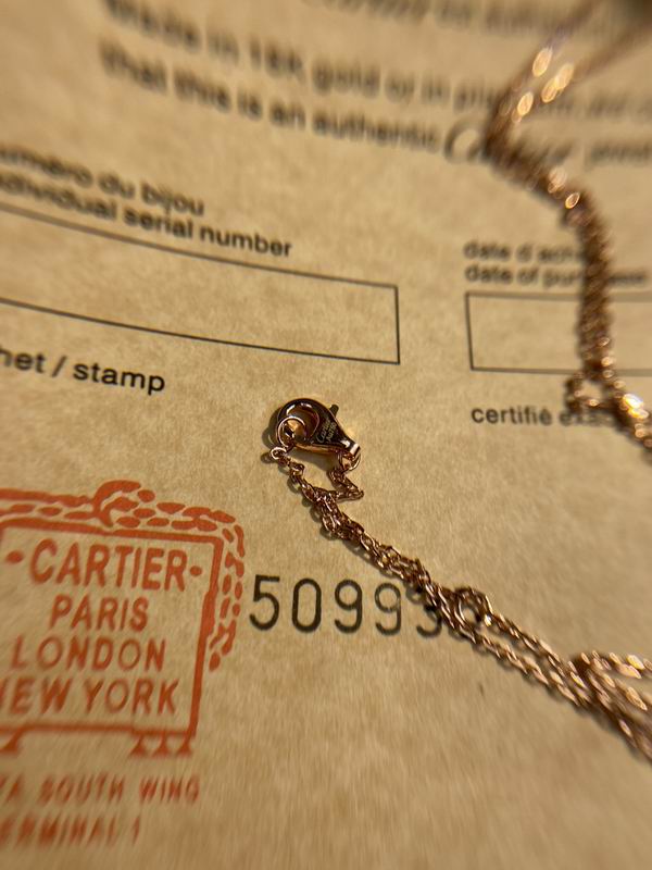 Cartier necklace 05lyx120 (10)